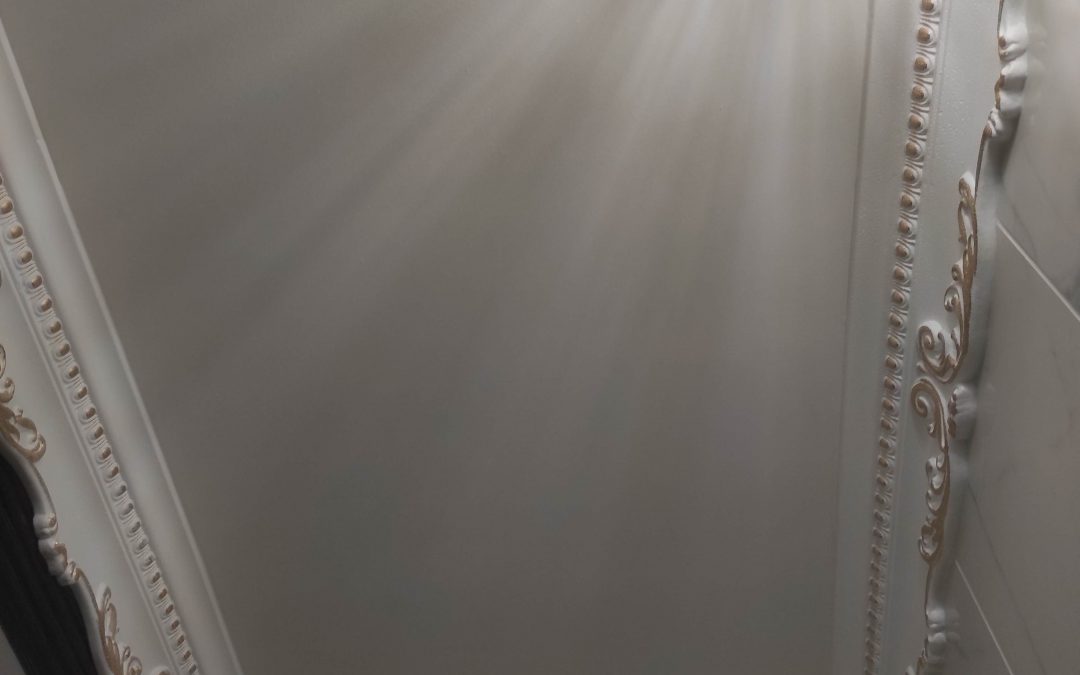 Revitalisation des Toilettes : Une Transformation Rafraîchissante